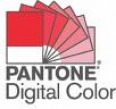 PANTONE Digital Color